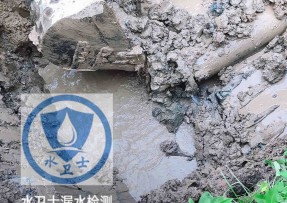 桓仁水管漏水检测公司5